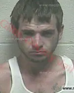 Booking photo of Matthew Douglas Nattress, Giles County, Jul 9, 2017