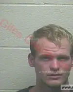 Booking photo of Bobby Larry Fralix III, Giles County, Dec 11, 2015