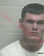 Booking photo of Kacey Lee Nickens, Giles County, Nov 21, 2016