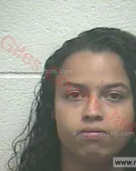 Booking photo of Michaela Lynn Gardner, Giles County, Oct 29, 2017