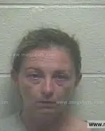 Booking photo of Amanda Carol Magness, Giles County, Aug 17, 2013