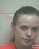 Booking photo of Heather Nicole Prince, Giles County, Nov 23, 2016