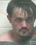 Booking photo of Roberta Ann White, Giles County, Aug 9, 2017