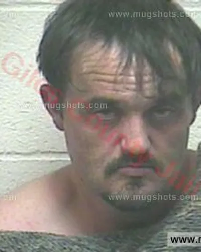 Booking photo of Roberta Ann White, Giles County, Aug 9, 2017