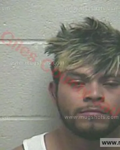 Booking photo of Ervin Diaz, Giles County, Mar 7, 2018