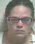 Booking photo of Sarah Elizabeth Hughes, Giles County, Jun 26, 2016