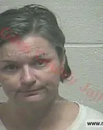 Booking photo of Stephanie Yvonne Gatlin, Giles County, Mar 17, 2017