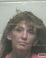 Booking photo of Patricia Dean Waldrop, Giles County, Jul 1, 2015