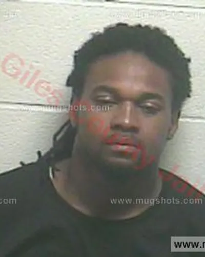 Booking photo of William M Reynolds Jr., Giles County, Apr 10, 2016