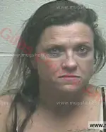 Booking photo of Suzanne Lynn Reed, Giles County, Oct 24, 2016