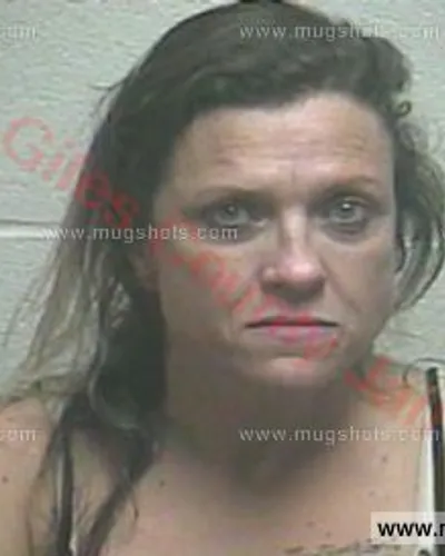 Booking photo of Suzanne Lynn Reed, Giles County, Oct 24, 2016