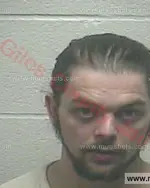 Booking photo of Dylan Gage Henson, Giles County, May 3, 2017