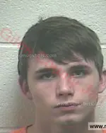 Booking photo of Dakota Madison Crabtree, Giles County, Feb 22, 2017