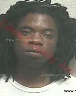 Booking photo of GERALD EMIL HAYDEN Jr., Giles County, Jun 22, 2016