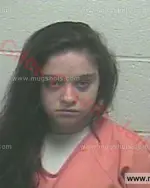 Booking photo of Casey Elizabeth Mathis, Giles County, Jan 29, 2016