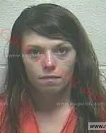Booking photo of Heather Nicole Lyell, Giles County, Oct 28, 2017