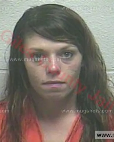 Booking photo of Heather Nicole Lyell, Giles County, Oct 28, 2017