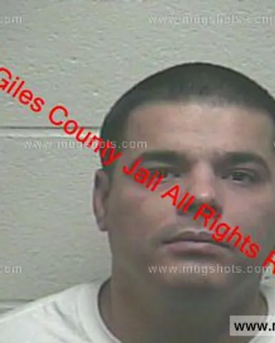 Booking photo of Alexanderu Stoica, Giles County, Nov 28, 2019