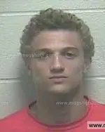 Booking photo of Derico Sharon Brown, Giles County, Jun 19, 2015