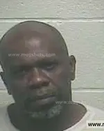 Booking photo of Tracy S Williams, Giles County, Jun 6, 2014