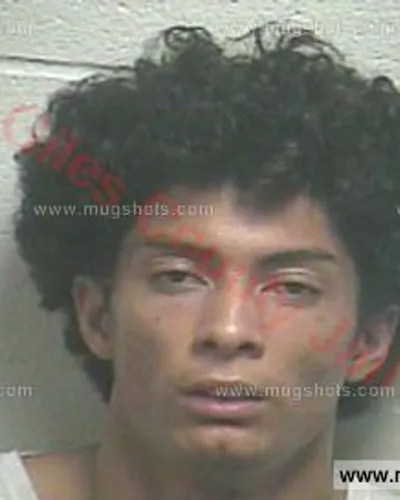 Booking photo of Orlanda Ray, Giles County, Aug 18, 2016