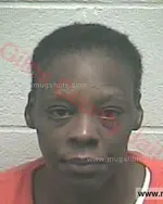 Booking photo of Lakisha Kajuane Beegle, Giles County, Apr 25, 2018