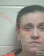 Booking photo of Crystal Marie Mathis, Giles County, May 11, 2017
