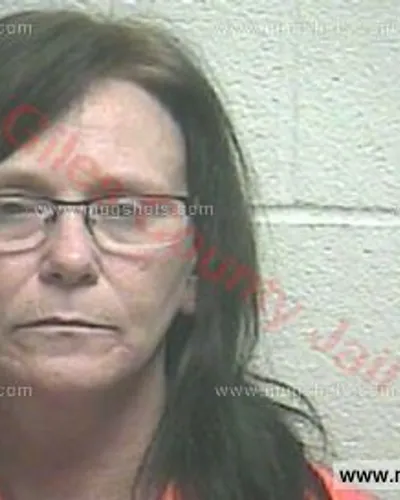 Booking photo of Theresa Dawn Duke, Giles County, Nov 13, 2016