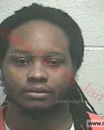 Booking photo of Logan Davion Starks, Giles County, Jul 20, 2017