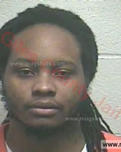 Booking photo of Logan Davion Starks, Giles County, Jul 20, 2017