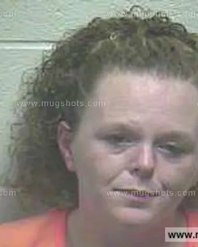 Booking photo of Amy Nicole Summers, Giles County, Feb 9, 2015