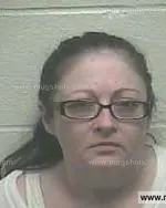 Booking photo of Lydia Angelina Brymer, Giles County, Apr 24, 2015