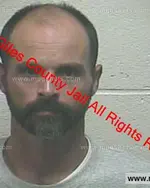 Booking photo of JAMES E REEVES, Giles County, Oct 2, 2019