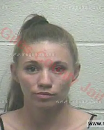 Booking photo of ANGEL Lynette WILSON, Giles County, May 6, 2017