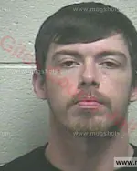 Booking photo of Brandon Thomas Jett, Giles County, Feb 22, 2018