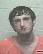 Booking photo of Kelsey Taylor Walls, Giles County, Jul 1, 2015