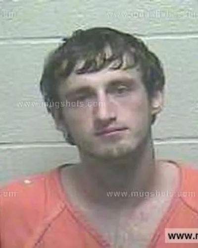 Booking photo of Kelsey Taylor Walls, Giles County, Jul 1, 2015