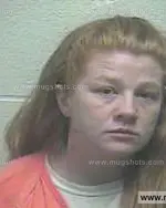 Booking photo of Tammy Marie Bush, Giles County, Jan 31, 2015