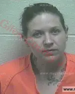 Booking photo of Melinda Shannon Sharma, Giles County, Mar 29, 2017