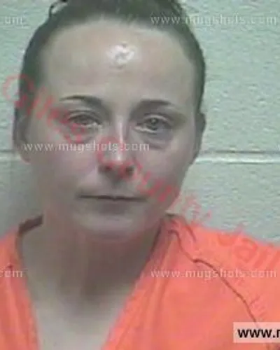 Booking photo of Ashley Brooke Cunningham Sr., Giles County, Mar 14, 2017