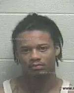 Booking photo of Treadence Lee Howard, Giles County, Oct 20, 2014