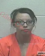 Booking photo of Camellia Shaonta Dowden, Giles County, Dec 31, 2016