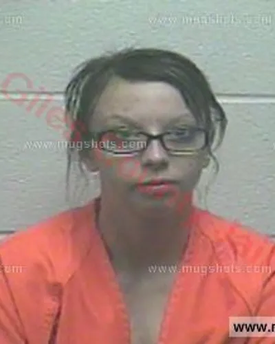 Booking photo of Camellia Shaonta Dowden, Giles County, Dec 31, 2016