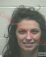 Booking photo of Aimee Renee Holt, Giles County, Jan 24, 2018