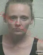 Booking photo of Monica Jo Robinson, Giles County, May 10, 2016