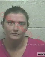 Booking photo of Courtney Lee Jackson, Giles County, Dec 19, 2016