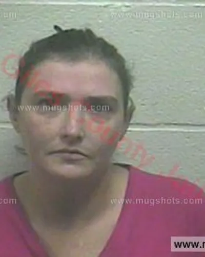 Booking photo of Courtney Lee Jackson, Giles County, Dec 19, 2016