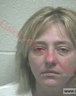 Booking photo of Louanne Marie Armstrong, Giles County, Sep 9, 2015