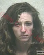 Booking photo of Julie Ann Smith, Giles County, Jan 28, 2018