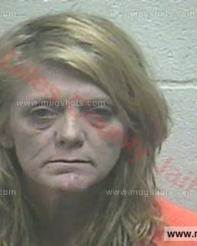 Booking photo of Melanie Phillips, Giles County, Jul 17, 2017